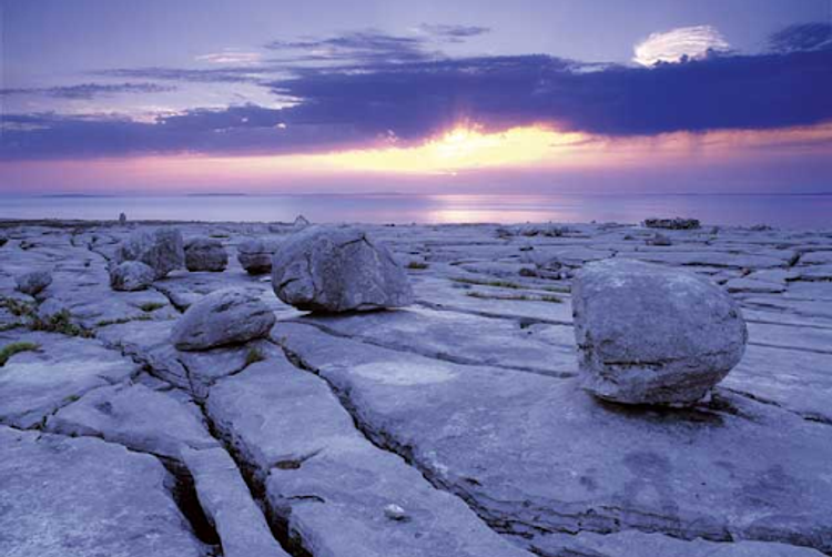 Harbour Hotel | | 10