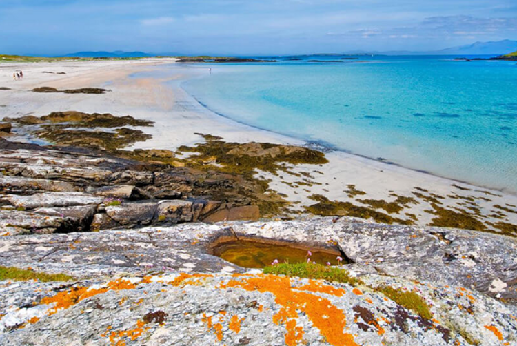 Harbour Hotel | | 12